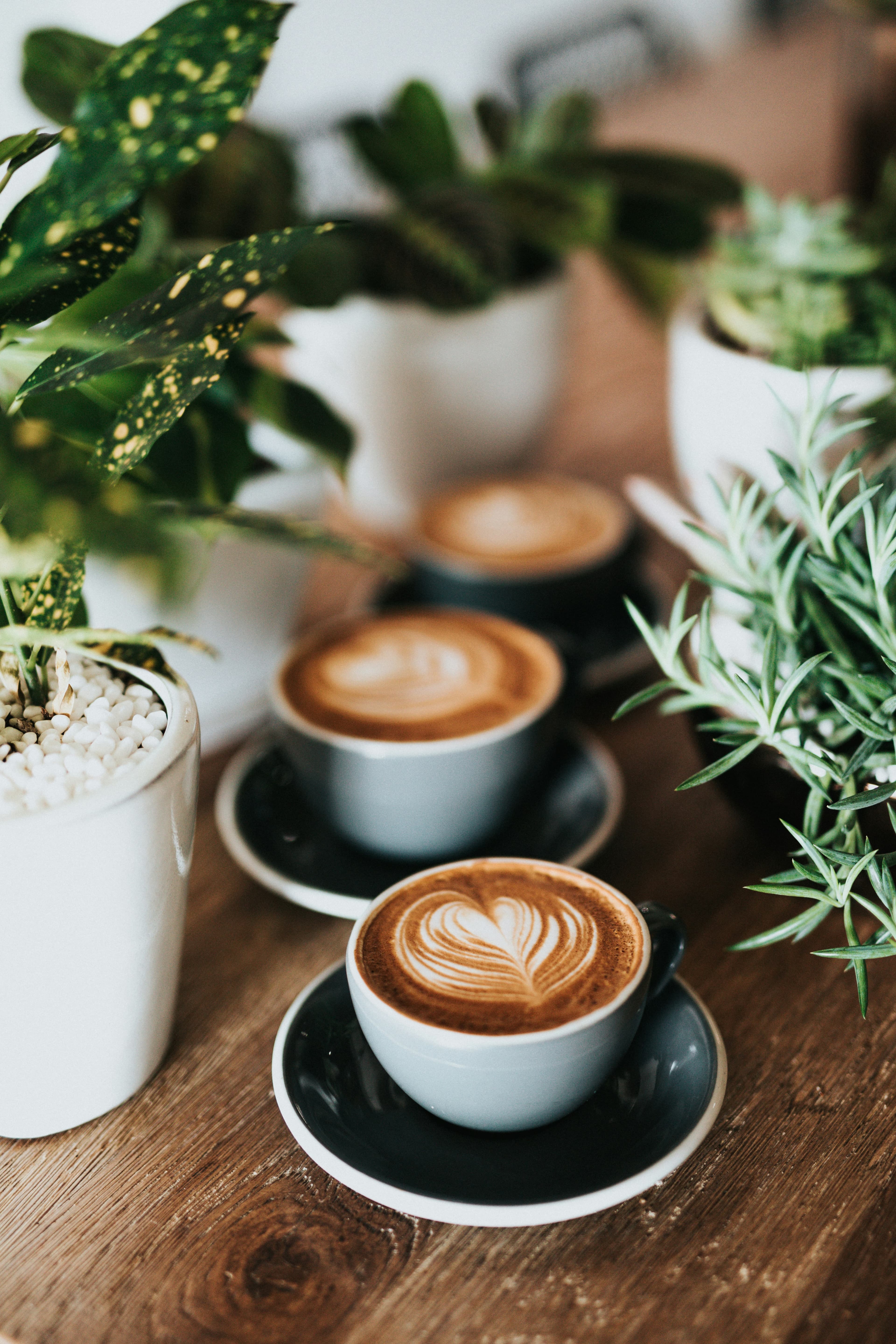 Coffee Detail